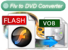 flv to dvd converter